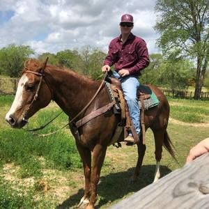 Meet your Posher, Kade